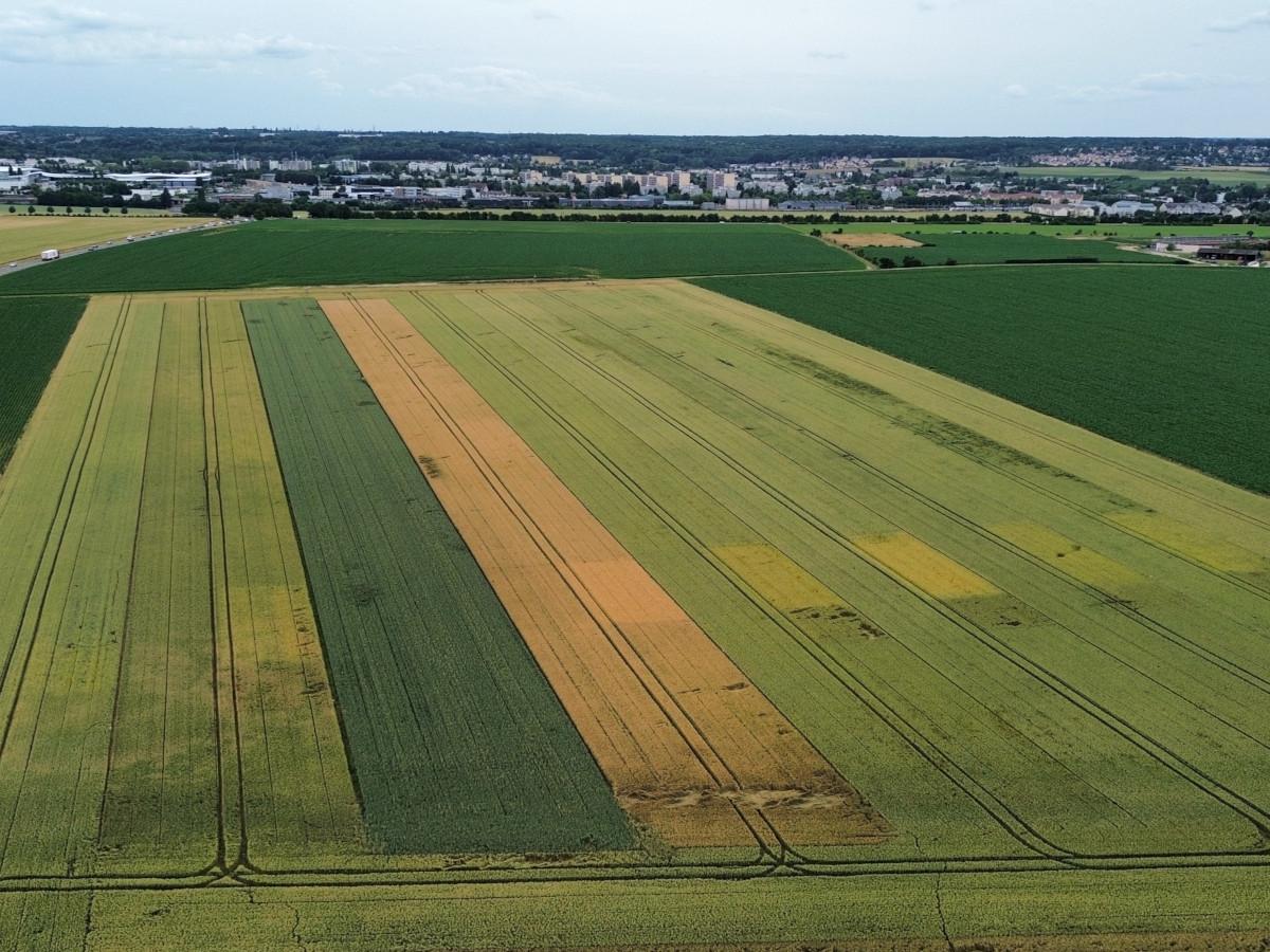 Collecte agroécologie
